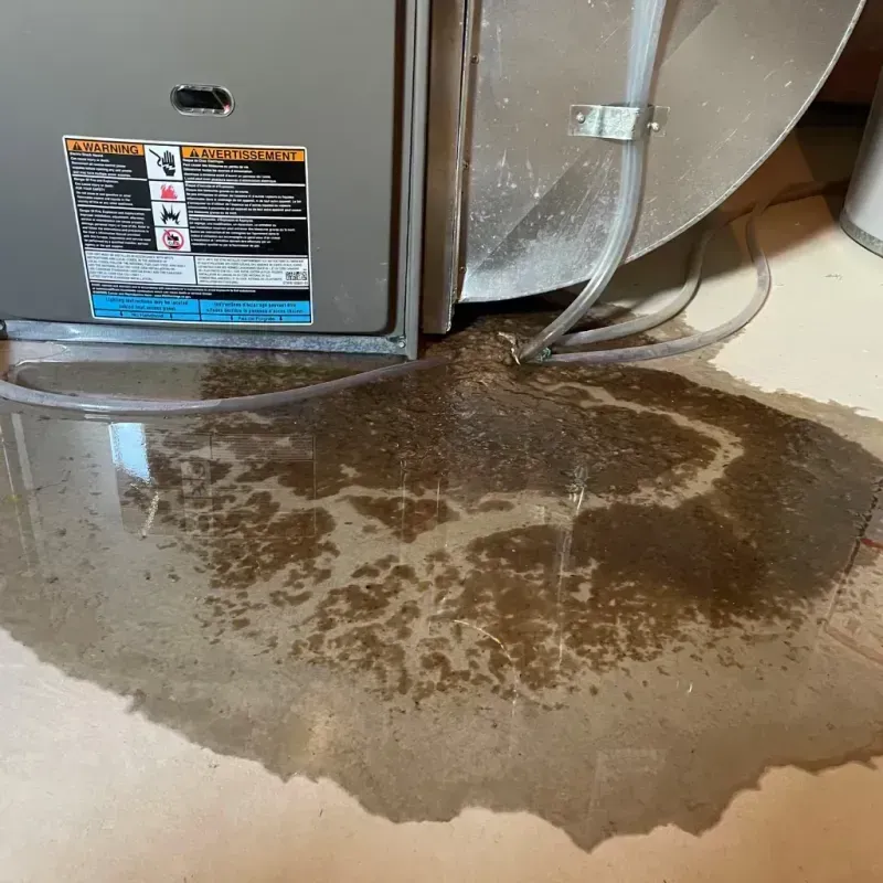 Appliance Leak Cleanup in West Salem, WI